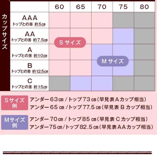 ルーナナチュラルアップナイトブラMブラック レディースの下着/アンダーウェア(ブラ)の商品写真