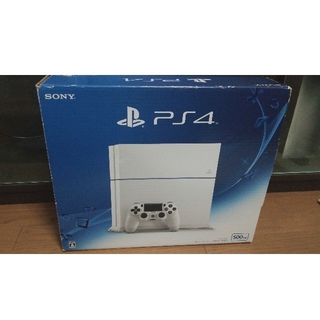 ※説明必読※ SONY PlayStation4 本体 CUH-1200AB02