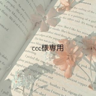 ccc様専用(各種パーツ)