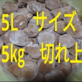 南高梅　梅干し　白干し　紀州(漬物)