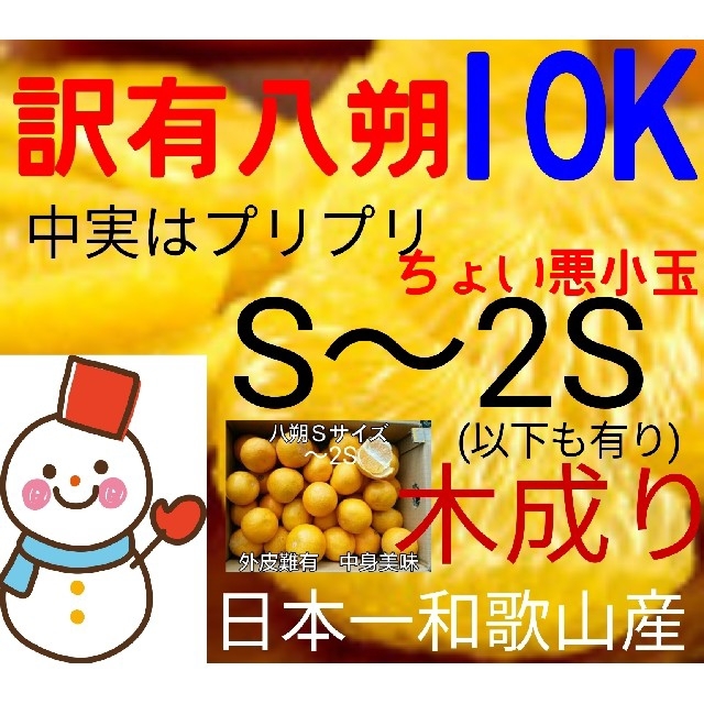 特売❗訳有ひかり八朔小玉10㌔♥和歌山はっさく　雪だるまのハッサク 食品/飲料/酒の食品(フルーツ)の商品写真