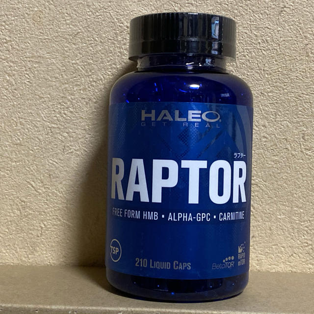 HALEO RAPTOR ラプター - その他