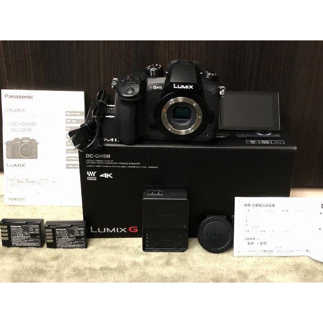 WH9BF002924管理ダブル保証 送料無料 LUMIX GH5 Vlog バッテリー2個