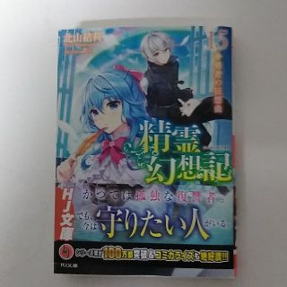 精霊幻想記 １５(文学/小説)