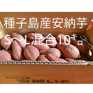 種子島産安納芋10キロ(野菜)