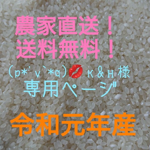 食品/飲料/酒愛媛県産ヒノヒカリ30㎏
