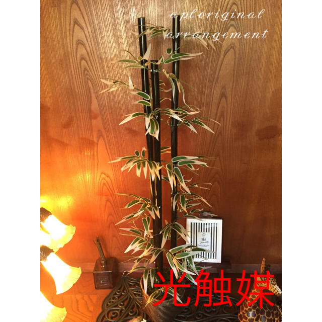 光触媒 人工観葉植物 斑入り黒竹11340