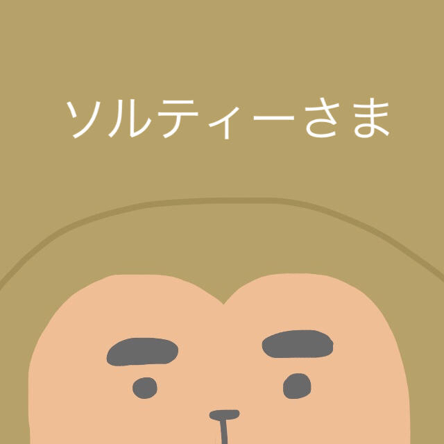 ソルティーさま 専用 viapincolombia.com