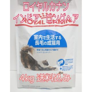 ロイヤルカナン(ROYAL CANIN)のロイヤルカナン　インドア　ロングヘア　4kg(猫)