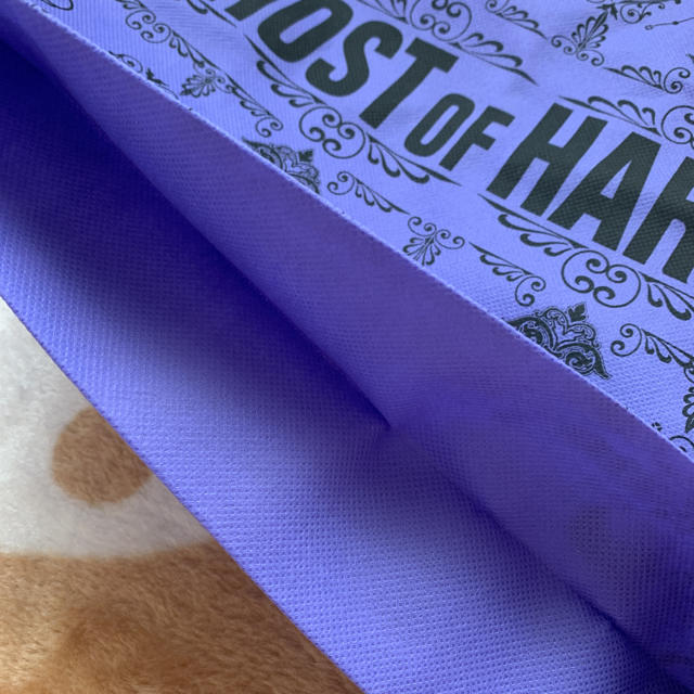 GHOST OF HARLEM(ゴーストオブハーレム)のGHOST OF HARLEM 布ショップバッグ レディースのバッグ(ショップ袋)の商品写真