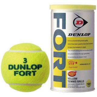 DUNLOP - 最安値に挑戦！！ ☆DUNLOPFORT☆新品ダンロップフォート2個