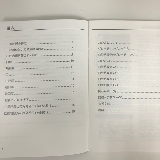 がん治療における口腔粘膜支持療法の為の口腔粘膜炎評価マニュアル エンタメ/ホビーの本(健康/医学)の商品写真