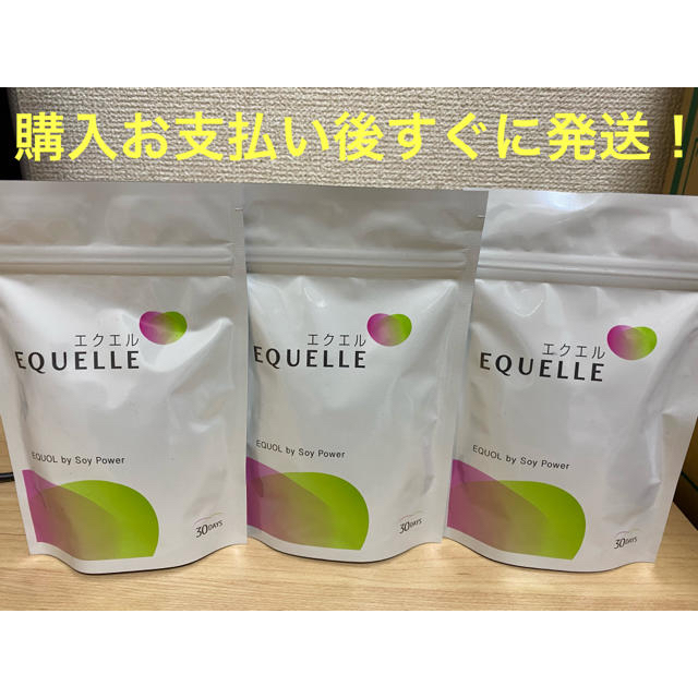 大塚製薬 エクエル パウチ 3袋セット - www.glycoala.com