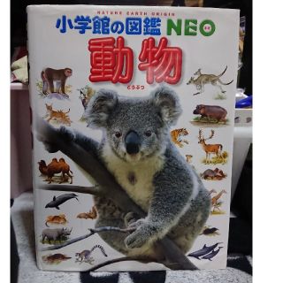 ショウガクカン(小学館)の小学館の図鑑 NEO  動物(絵本/児童書)