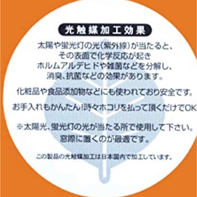 フェイクグリーン　シュガーパイン ハンドメイドのインテリア/家具(インテリア雑貨)の商品写真