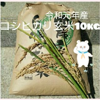 こはる様専用です😊コシヒカリ玄米10kg(米/穀物)