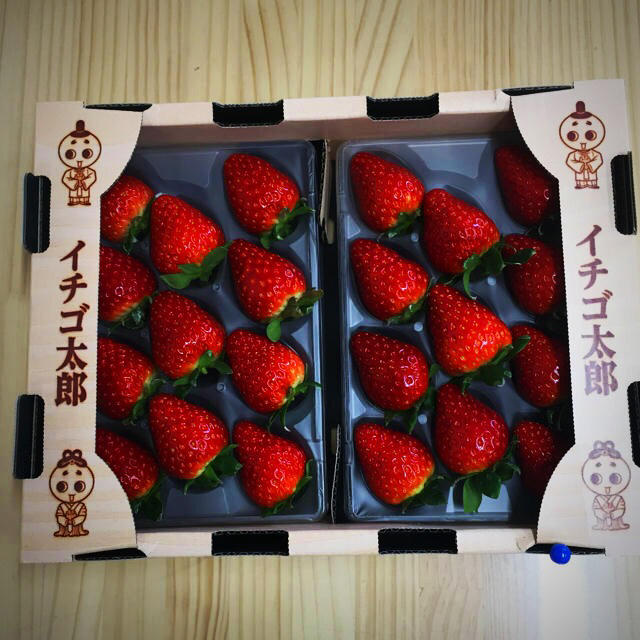 奈良県産 高級苺 古都華 2L 食品/飲料/酒の食品(フルーツ)の商品写真