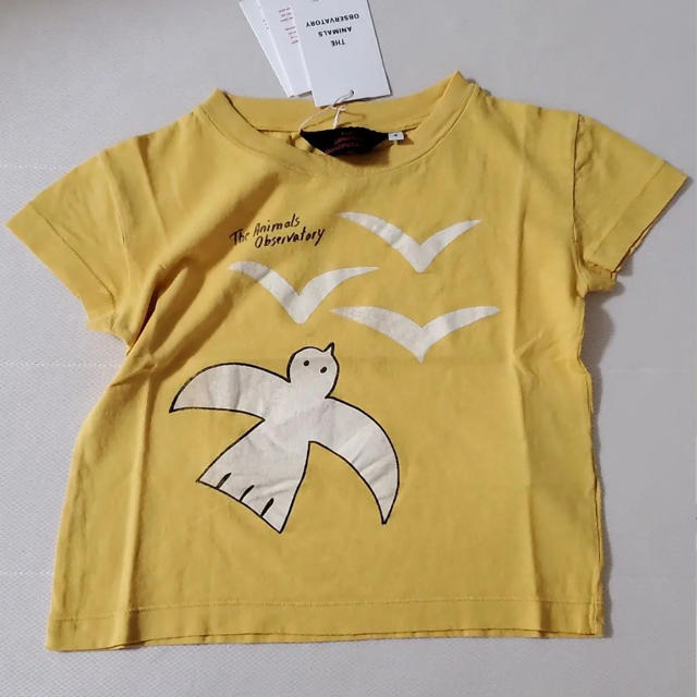 春の新作続々 The animals observatory TシャツTAO drenriquejmariani.com