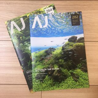 アクアデザインアマノ(Aqua Design Amano)のAQUA JOURNAL vol.282 & vol.284 2冊セット(アート/エンタメ/ホビー)