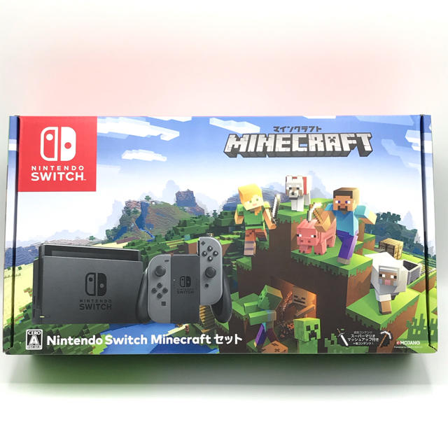 Nintendo Switch Minecraftセット/Switch/HACS