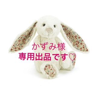 カシウエア(kashwere)のかずみ様　専用出品です♡(ぬいぐるみ/人形)