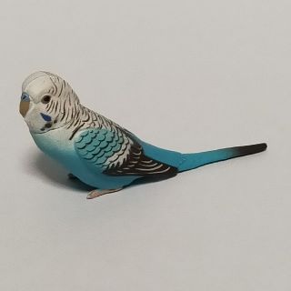 フルタセイカ(フルタ製菓)のチョコエッグ ペット動物コレクション 第1弾 セキセイインコ B ブルー 鳥(その他)