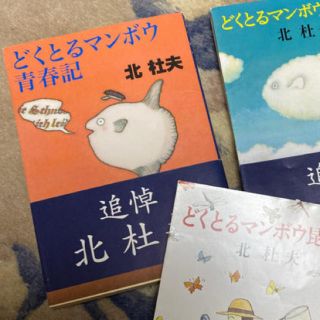 どくとるマンボウ青春期(文学/小説)