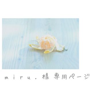 サマンサモスモス(SM2)の🔅 m i r u . 様 🔅専用(シャツ/ブラウス(長袖/七分))