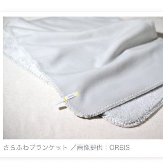 オルビス(ORBIS)の【新品・非売品】オルビス　ブランケット(その他)