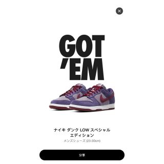 ナイキ(NIKE)のNike Dunk SB Plum 27(スニーカー)