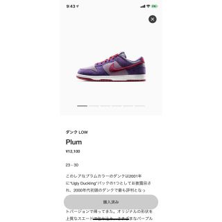 ナイキ(NIKE)のnike dank 27.0 US9(スニーカー)