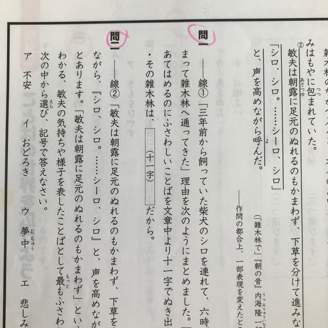 難易度・分野別問題集ウイニングステップ国語 建て直し 小学6年3 難易度・分野別問題集ウイニングステップ国語 建て直し 小学6年3