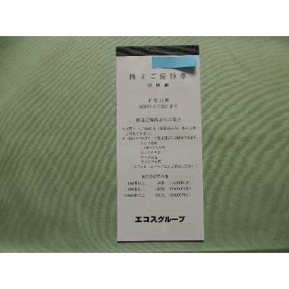 【19000円分】エコス株主優待券（100円割引券×30枚×3冊+100枚×1冊(ショッピング)