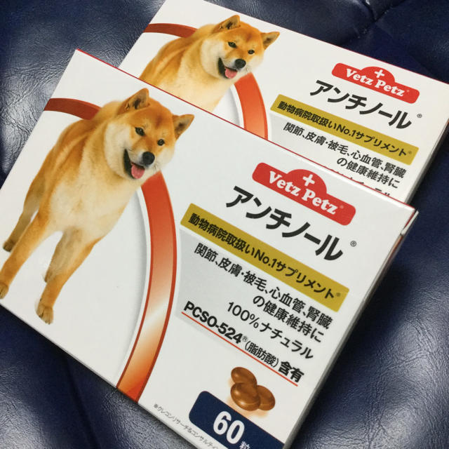 アンチノール 60粒入り 2箱セット 犬用 - 犬