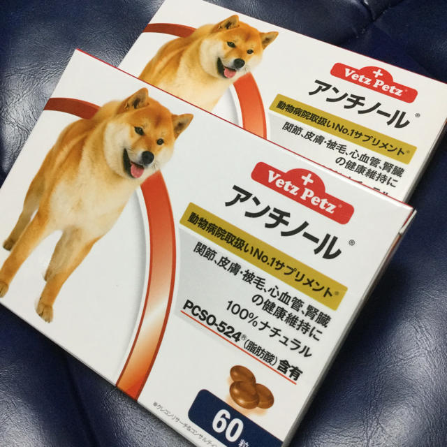 アンチノール 60粒入り 2箱セット 犬用