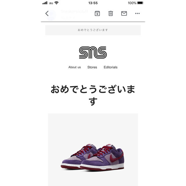 NIKE DUNK LOW "PLUM" 1