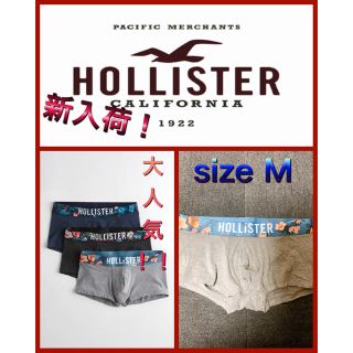 ホリスター(Hollister)のホリスター  HOLLISTER ボクサーパンツ　正規品　新品　ビッグロゴ　M(ボクサーパンツ)