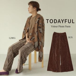 トゥデイフル(TODAYFUL)の★即完売色グレージュ　TODAYFUL Velour Pleats Pants (カジュアルパンツ)