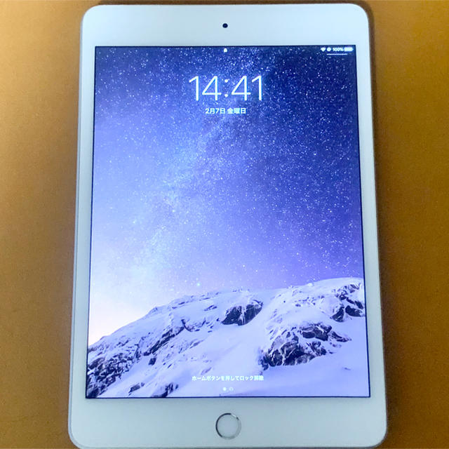 iPad mini 5 Wi-Fi 256GB シルバー MUU52J/A-eastgate.mk