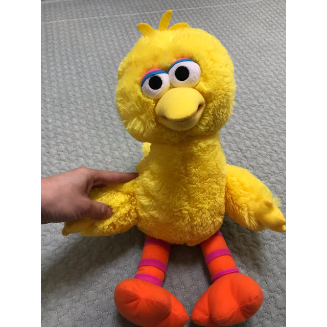 SESAME STREET(セサミストリート)のセサミストリート ぬいぐるみ エンタメ/ホビーのおもちゃ/ぬいぐるみ(ぬいぐるみ)の商品写真