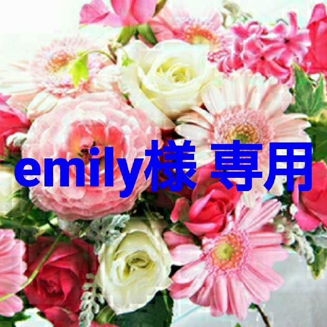 emily様 専用ページです。 yamando.id