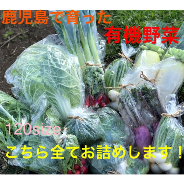 鹿児島で育った有機野菜詰め合わせ　120サイズ 食品/飲料/酒の食品(野菜)の商品写真