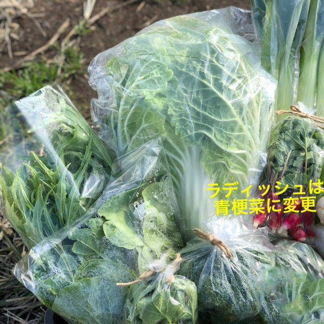 鹿児島で育った有機野菜詰め合わせ　120サイズ 食品/飲料/酒の食品(野菜)の商品写真