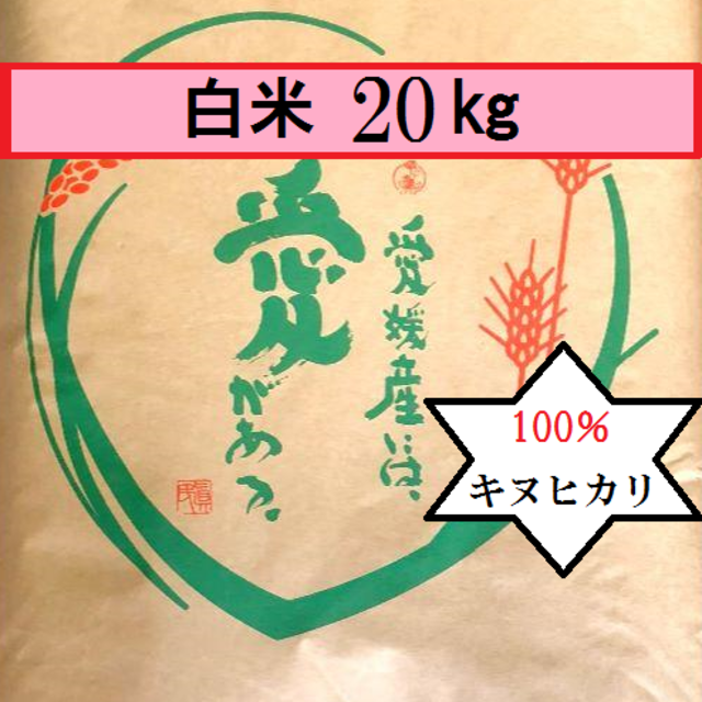 お米　令和元年　愛媛県産キヌヒカリ　白米　20㎏ 食品/飲料/酒の食品(米/穀物)の商品写真