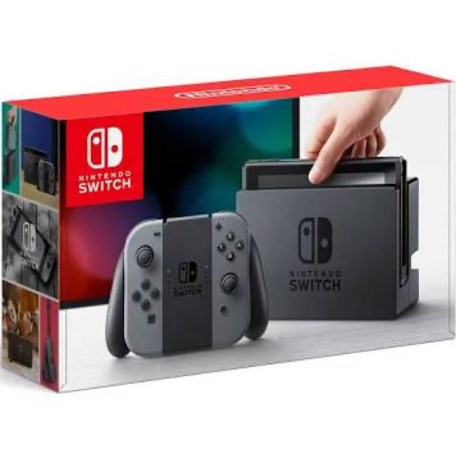 Nintendo Switch JOY-CON グレー 本体  HAC-S-KA