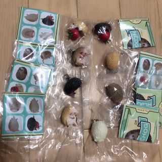 【送料込】奇譚クラブ？PUTITTO？ハリネズミ(その他)