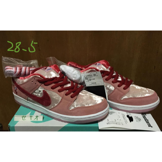 STRANGE LOVE NIKE SB DUNK PRO 28.5