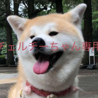 メルロー(merlot)のチェルチーちゃん専用♡♡(ロングワンピース/マキシワンピース)