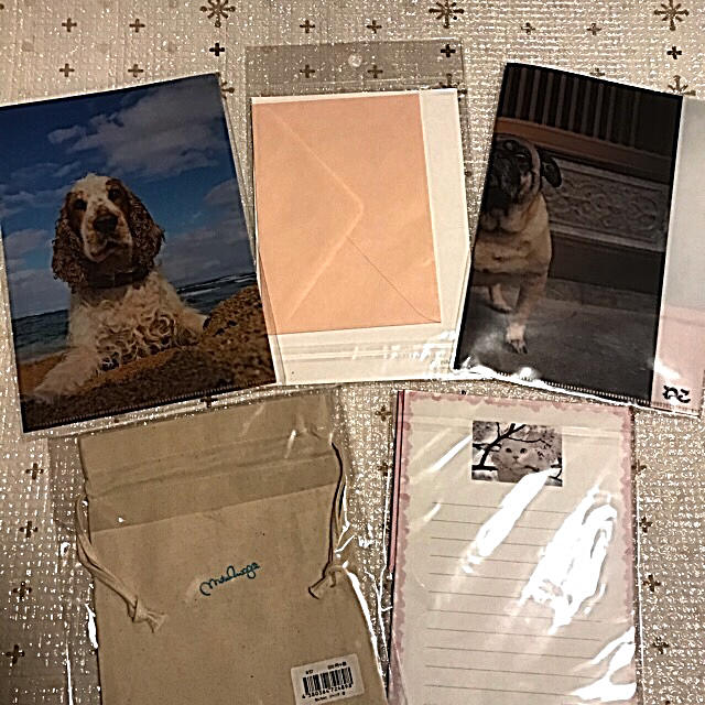 かわいい動物 クリアファイル ポップアップカード レターセット 巾着の5点セットの通販 By ビアー S Shop ラクマ