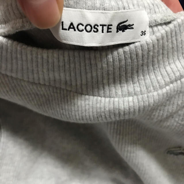 LACOSTE(ラコステ)のLACOSTE リブニット  グレー レディースのトップス(ニット/セーター)の商品写真